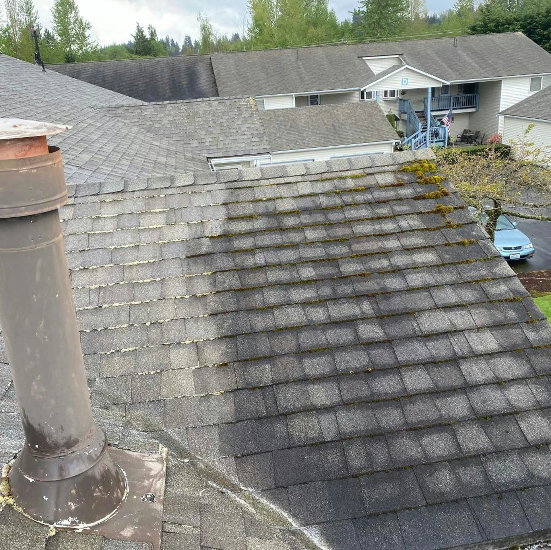 Before and after cleaning on a Calgary deck